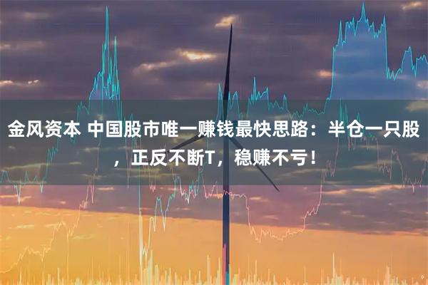 金风资本 中国股市唯一赚钱最快思路：半仓一只股，正反不断T，稳赚不亏！